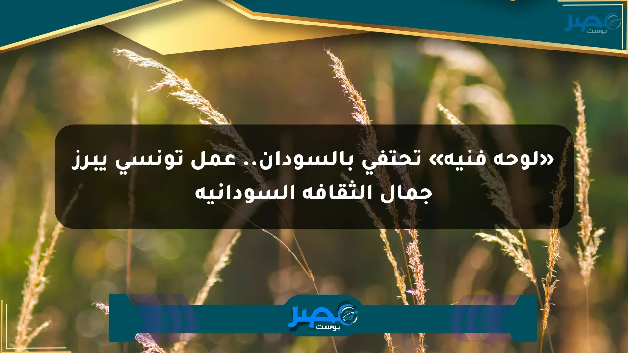 نيوز برو : «لوحة فنية» تحتفي بالسودان.. عمل تونسي يبرز جمال الثقافة السودانية