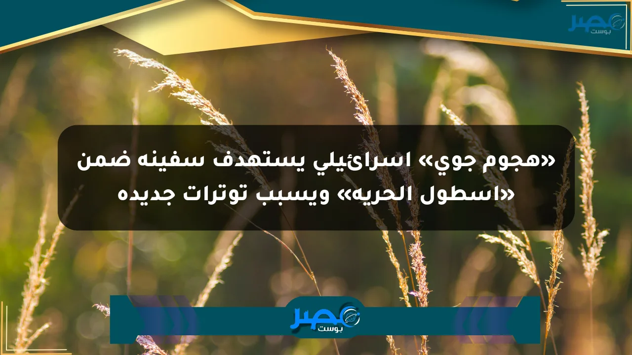 نيوز برو : «هجوم جوي» إسرائيلي يستهدف سفينة ضمن «أسطول الحرية» ويسبب توترات جديدة