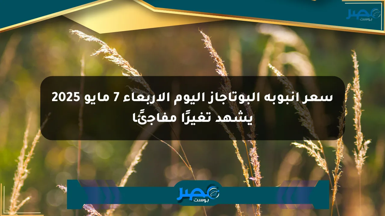 نيوز برو : سعر أنبوبة البوتاجاز اليوم الأربعاء 7 مايو 2025 يشهد تغيرًا مفاجئًا