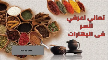 السر اللي بتدور عليه كل ست بيت! حضري خلطة البهارات السبعة في البيت وتحدي طعم أي مطعم بنكهة تفوح من أول شمة!